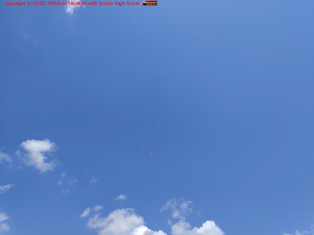 �ѥ饷�塼��