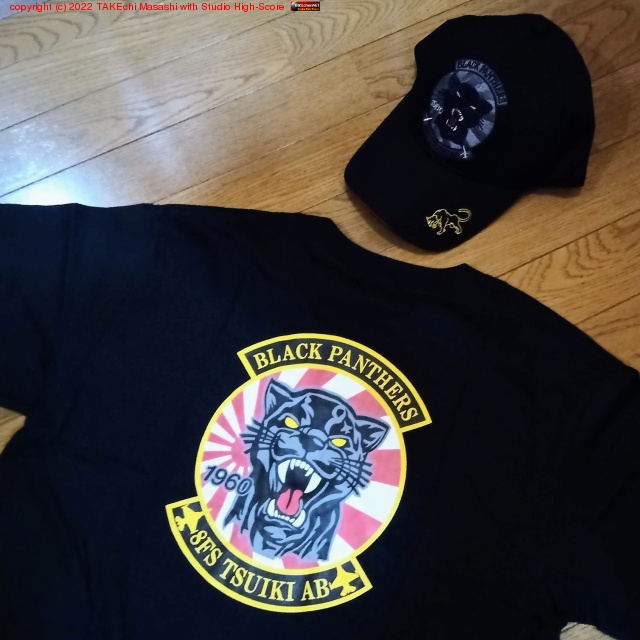 �ǥ������ƥ����� F-2 ���������ŵ��˹�Ҥȣԥ����