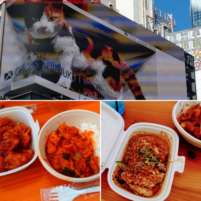 ����ͥ����Ƥ���ɤ��ο��٤��� #��ɥ����פ�