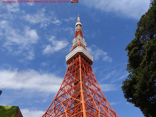 �ޤ��դ��Ф�äȤѤ���ݤä�! �������Ǹ�����Ĥ��Ƥ���!!