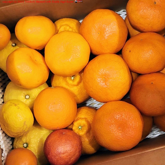 �ߥ��󤤤�����