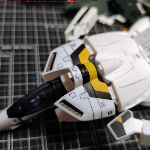 �ְ������ܤ��Ƥ��ޤ����פ����Ѥ��ʤ���Х륭�꡼�Υ��ߤ���򤷤Ƥ��롣