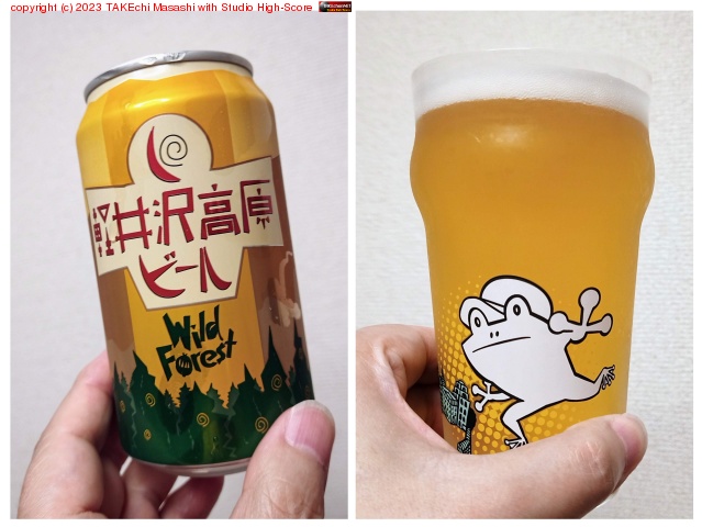 �ڰ����⸶�ӡ��� Wild Forest