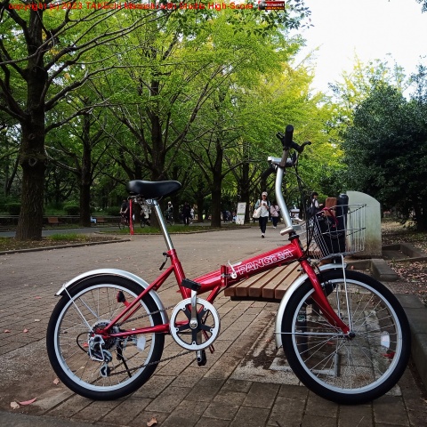 ŷ���������ΤǸ���ޤǼ�ž�֤ǽФ롣�٥�����ۤθ�����Ӥʤ����ܤ��ɤ�ǲᤴ����