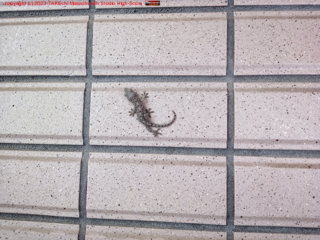 �������!!