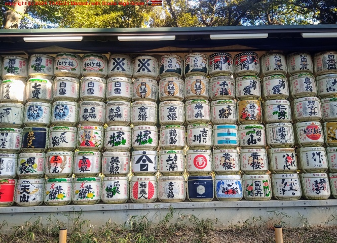 �������ܤ򻶺������ɤޤ��⤭�ޤ�����