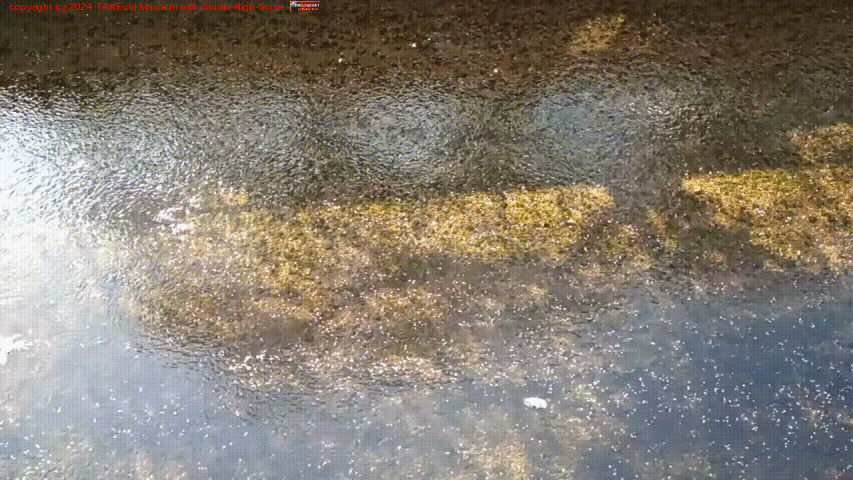 ����ή�������