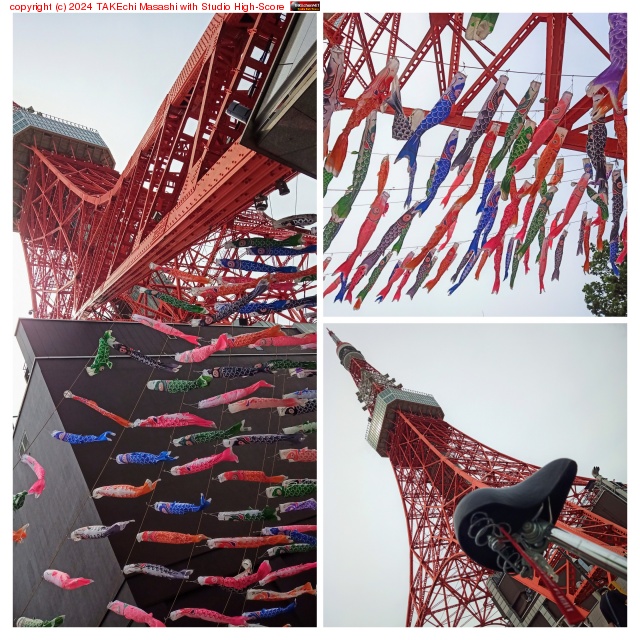 �Բ����̥ݥ���󥰡���������Τܤ�!!