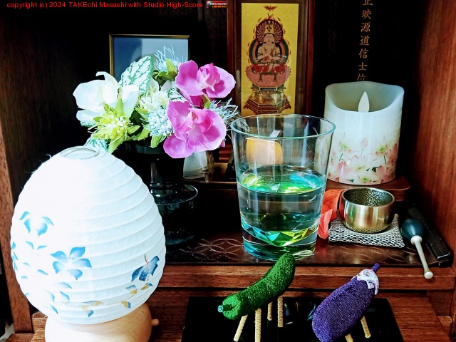 ������路�Ƥ�����ߤ�ˬ�ͤ�ʩ�Ť�Ȥ��߻��͡ɤ˥��åƥ��󥰡������ȥ��奦��ȥʥ���Ф����¤٤����ɥ���Ǥ����Τ���? ��Ȥ��̵����ʲ����ʤΤǿ�����äƤ���뤸�����