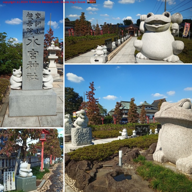 �����뤬���äѤ�����!!