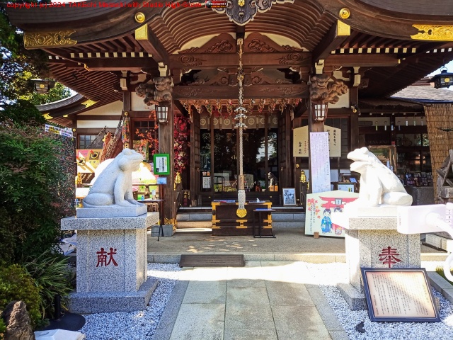 ̵�������뵧�ꡣ��������ʤ��äƹ�������!!