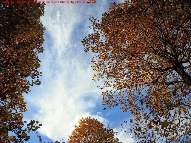 ����֤�֤饤���祦���ڤ򻶺�