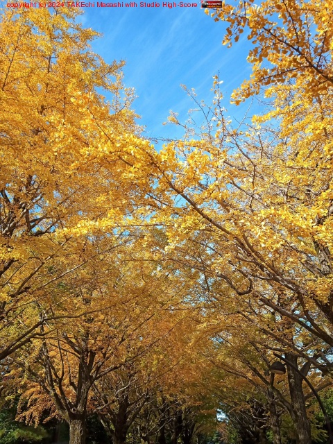 �������Ķ�