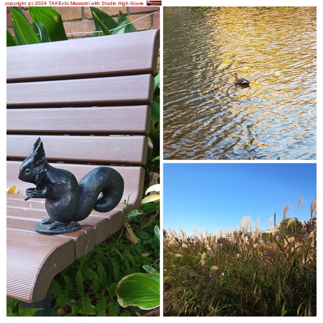 ���������ǥܥ��äȤ��Ƥ�����