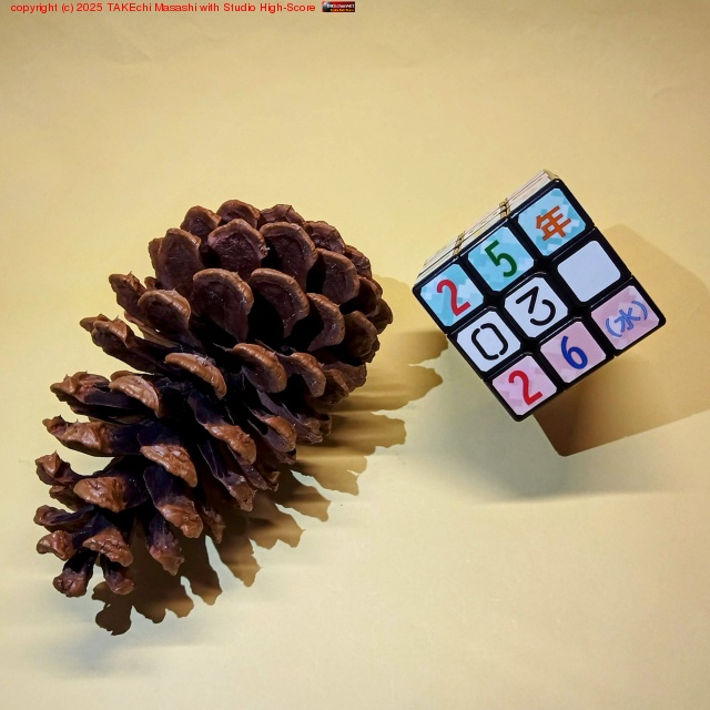 ΡȻ͹ιԡɺǺʤ֥޻ߤ!פȽäƤ礭ܥåɤʤΤƤл⼣ޤ! // С٥塼βϾܥå