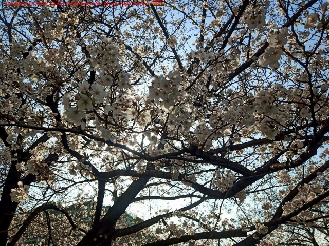 ! Τ֤˺餤Ƥǯϲָ٥Ȥε򼺤!?