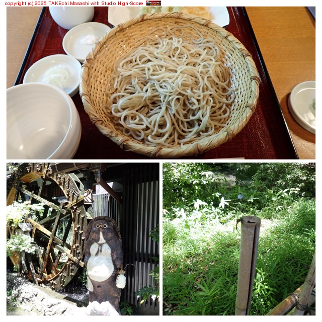 դäȿ˹Ԥäƶ򿩤٤Ƥ