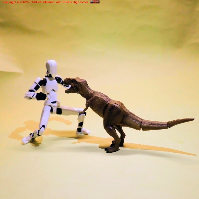 100�ѥե����奢�ȥƥ���Υ����륹����碌�Ƥ��롣// �ƥ���β�ư�ʤ��᤮