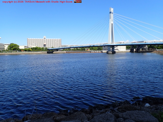 �Ƥ��ȡ�������Ƥ˸������� URL ���դ���Τ���Ƥߤ롣